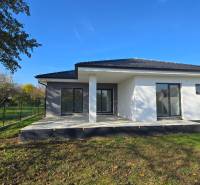 Rodinný dům v Piešťanech s terasou a zelenou zahradou.