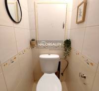 Koupelna v 2-pokojovém bytě s toaletou, zrcadlem a rostlinou na stěně.