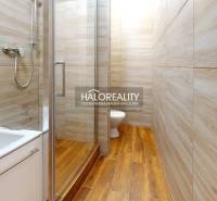 Koupelna v 1-pokojovém bytě se sprchovým koutem a podlahou s dřevěným dekorem.