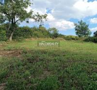 Pozemek na bydlení v Čerhově obklopený zelení a modrou oblohou.