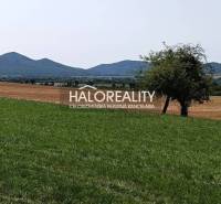 Travnaté a zemědělské pozemky v okolí města Čerhov, ideální pro bydlení.