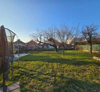 Zahrada u rodinného domu na Sluneční ulici v Novém Městě nad Váhom, se stromy a trampolínou.