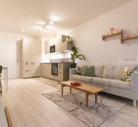 Obývací pokoj v jednopokojovém bytě s pohovkou, kuchyňskou linkou a podlahou s dřevěným dekorem.