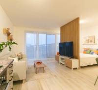 Interiér 1-pokojového bytu s podlahou s dřevěným dekorem a útulným posezením.