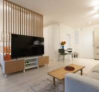 Světlý obývací pokoj v 1-pokojovém bytě s dřevěnou zástěnou a TV, podlaha s dřevěným dekorem.