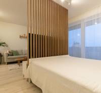 Kuchyně se světlým nábytkem, pohovkou a lůžkem v 1-pokojovém bytě, podlaha s dřevěným dekorem.