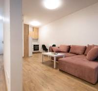 Obývací pokoj v 2-pokojovém bytě s pohodlnou sedačkou a podlahou s dřevěným dekorem.