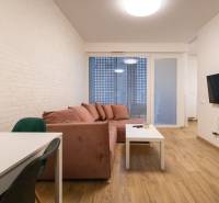 Obývací pokoj v dvoupokojovém bytě s pohovkou, televizí a podlahou s dřevěným dekorem.