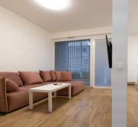 2-pokojový byt s podlahou s dřevěným dekorem, pohovkou a televizí na stěně.