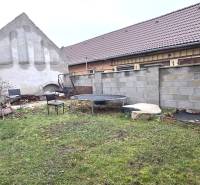 Zahrada u rodinného domu v Dolních Orešanech s betonovým plotem a trampolínou.