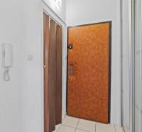 Interiér 1-pokojového bytu s dřevěným dekorem dveří a vestavěnou skříní.