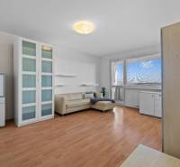 Obývací pokoj v jednopokojovém bytě s podlahou s dřevěným dekorem, gaučem a vitrínou.