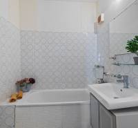 Koupelna s vzorovanými dlaždicemi, vanou a rostlinou v garsonce.