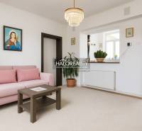 Světlý obývací pokoj v rodinném domě s šedou sedačkou a zelenými rostlinami.