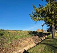 Pozemky - bydlení v obci Velčice, travnatý svah a stromy podél cesty.