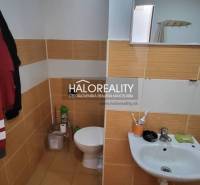 Koupelna s toaletou a umyvadlem v 1-pokojovém bytě s obklady v teplých tónech.