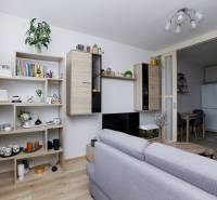 Obývací pokoj v 2-pokojovém bytě s vestavěným nábytkem a podlahou s dřevěným dekorem.