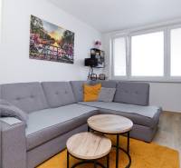 Obývací pokoj dvoupokojového bytu s rohovou sedačkou, podlahou s dřevěným dekorem a oknem.