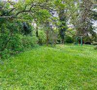 Zahrada se stromy na Větvové ulici v Bratislavě - Starém Městě, 3-pokojový byt.