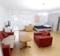 Obývací pokoj v rodinném domě s pohovkou, stolem a postelí. Podlaha s dřevěným dekorem.