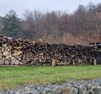 Zahrada u rodinného domu v Sokoli na Kopaninové ulici s uskladněným dřevem a okolím lesa.