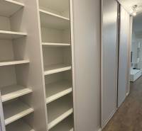 Vestavěná skříň v 1-pokojovém bytě s posuvnými dveřmi a podlahou s dřevěným dekorem.