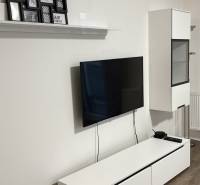 Televize na stěně, bílá komoda, obrazy a podlaha s dřevěným dekorem v 1-pokojovém bytě.