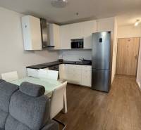 Obývací pokoj s kuchyní, sedačkou a podlahou s dřevěným dekorem v 1+kk bytě.