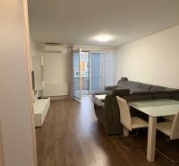 Obývací pokoj v jednopokojovém bytě s podlahou s dřevěným dekorem, šedou sedačkou a jídelním stolem.