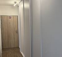 Bílá vestavěná skříň a podlaha s dřevěným dekorem v 1-pokojovém bytě.