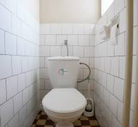 Toaleta s obkladem a dlažbou v rodinném domě.