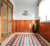 Interiér rodinného domu s dřevěným dekorem a barevnou dlažbou, ozdobený rostlinou.