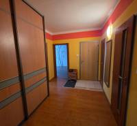 Chodba ve 4-pokojovém bytě s podlahou s dřevěným dekorem a vestavěnými skříněmi.