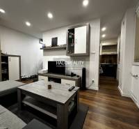 1-pokojový byt s moderním zařízením, podlaha s dřevěným dekorem, útulné osvětlení.