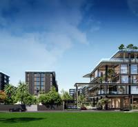 Výstavba bytů v Pattayi obklopená zelení, moderní budovy a auta na pozadí.