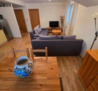 Obývací pokoj v rekreačním apartmánu s podlahou s dřevěným dekorem, pohovkou a dekorativní vázou.