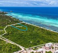 Pozemky - komerční v Kizimkazi u tyrkysového pobřeží s hustou zelení a mangrovy.