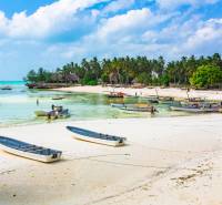 Pláž s loděmi a palmami v Kizimkazi, ideální pro komerční pozemky.