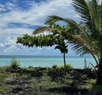 Pobřeží v Kizimkazi vhodné pro pozemky - komerční s výhledem na oceán a palmami.