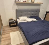 Ložnice s podlahou s dřevěným dekorem, postelí a úložnými prostory v rodinném domě.