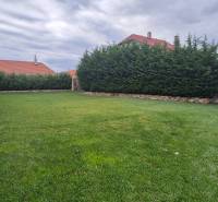 Rodinný dům ve Studience se zahradou, upraveným trávníkem a vysokým živým plotem.