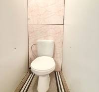 Toaleta v 2-izbovom byte s dekoratívnym obložením a kobercovým behúňom.