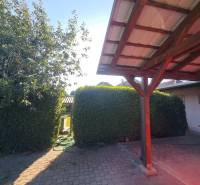 Dvůr rodinného domu v Nededi, s pergolou a hustě osazenými keři.