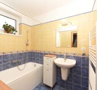 Koupelna v rodinném domě s vanou, umyvadlem, dlaždicemi a oknem s květinou.