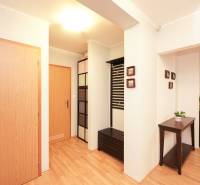 Interiér rodinného domu s podlahou s dřevěným dekorem, barevnými skříňkami a květináčem.