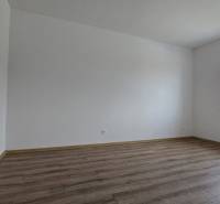 Pokoj v rodinném domě s podlahou s dřevěným dekorem a velkým oknem.