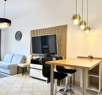 Obývací pokoj rekreačního apartmánu s televizí, sedačkou a barovým posezením.