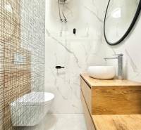 Koupelna v rekreačním apartmánu s minimalistickým designem a výrazným dřevěným dekorem.