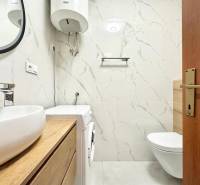 Koupelna v rekreačním apartmánu s toaletou, pračkou a umyvadlem na dřevěném dekoru.