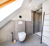 Koupelna s toaletou a sprchovým koutem v 2pokojovém bytě, pod šikmou střechou.